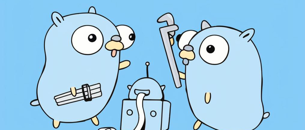 在Docker中，如何查看镜像支持的环境变量？